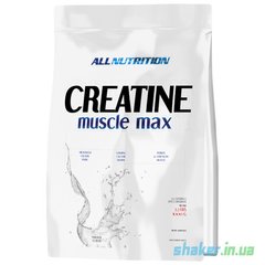 Креатин моногідрат All Nutrition Creatine Muscle Max (1 кг) unflavored