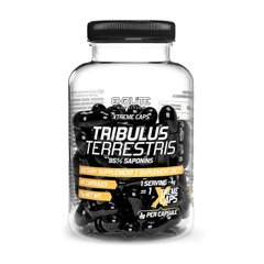 Трибулус террестрис Evolite Nutrition Tribulus Terrestris 95% 60 капсул