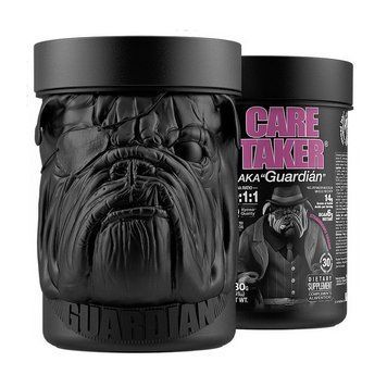 БЦАА Zoomad Labs Care Taker 480 г strawberry cream