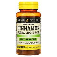 Корица с альфа-липоевой кислотой, Cinnamon Alpha Lipoic Acid, Mason Natural, 60 капсул
