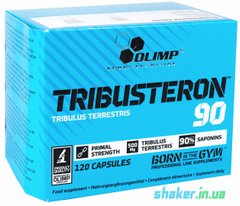 Трибулус террестрис Olimp Tribusteron 90 (120 капс) олимп трибустерон