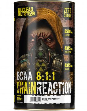 БЦАА Nuclear Nutrition Chain Reaction BCAA 8:1:1 400 г fruit massage