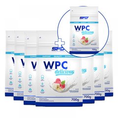 Сывороточный протеин концентрат SFD Nutrition x10+1 WPC Delicious 700 г