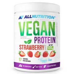 Растительный протеин AllNutrition Vegan Protein 500 г Salted Caramel