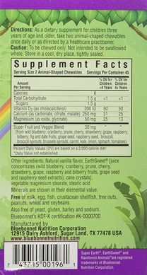 Витамин D3 400IU для Детей, Вкус Ягод, Rainforest Animalz, Bluebonnet Nutrition, 90 жевательных конфет