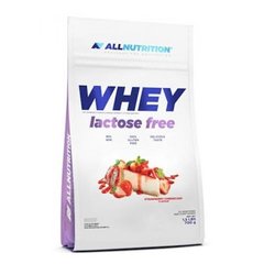 Сывороточный протеин концентрат AllNutrition Whey Lactose Free (700 г) Strawberry Cheesecake