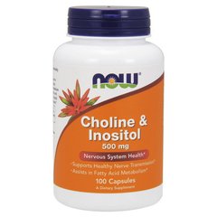 Холін і Інозитол Now Foods Choline & Inositol 500 mg (100 капс)