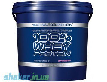 Сывороточный протеин концентрат Scitec Nutrition 100% Whey Protein 5000 г white chocolate