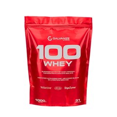 Сироватковий протеїн концентрат Galvanize Nutrition 100% Whey 1000 грамів пакет Шоколад кокос