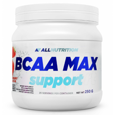 БЦАА AllNutrition BCAA Max Support 250 г Black curant