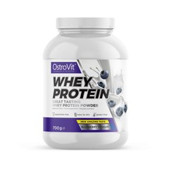 Сироватковий протеїн концентрат OstroVit Whey Protein 700 грам Чорничний йогурт