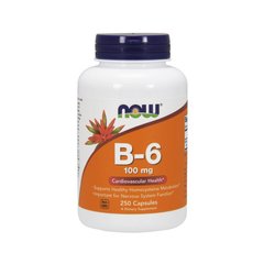 Вітамін Б6 Now Foods B-6 100 mg (250 капс) піридоксин