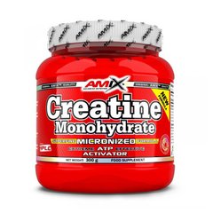 Креатин моногідрат Amix-Nutrition Creatine Monohydrate 300 г