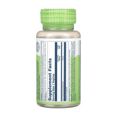 Женьшень екстракт Solaray Korean Ginseng Root 550mg 50 вег. капсул