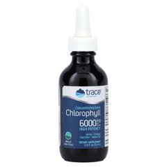 Хлорофилл Концентрированный ионный, 6000 мг, вкус мяты, Concentrated Ionic Chlorophyll, Trace Minerals, 59 мл