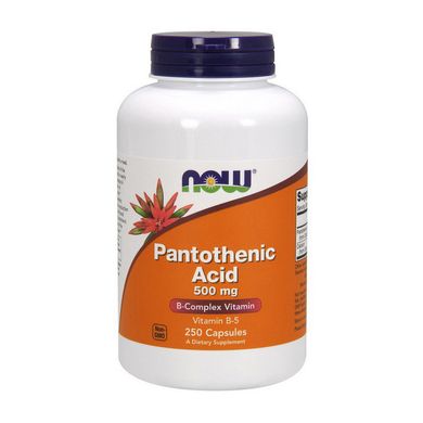 Пантотенова кислота Now Foods Pantothenic Acid 500 mg (250 капс) вітамін б5