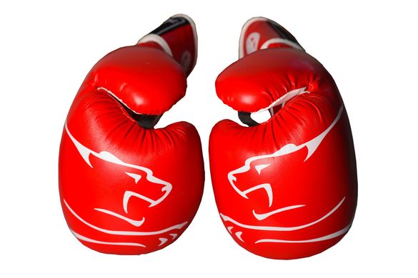 Боксерские перчатки PowerPlay 3018 красные 12 унций