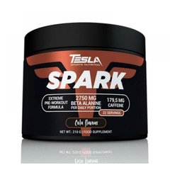 Предтренировочный комплекс Tesla Spark 210 г Buuble Gum