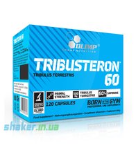 Трибулус террестрис Olimp Tribusteron 60 (120 капс) олимп трибустерон