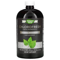 Chlorofresh, Хлорофіл рідкий, без запаху, Nature's Way, 473 мл