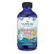 Риб'ячий жир (ДГК) для Дітей Nordic Naturals Children's DHA 119 мл Strawberry