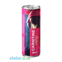 Л-карнітин Power Pro Carnitine Energy 250 млfruit