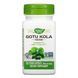 Готу круга Nature's Way Gotu Kola Herb 100 вег. капсул