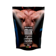 Сывороточный протеин концентрат Power Pro Protein Power MIX 1000 гмикс медове печиво